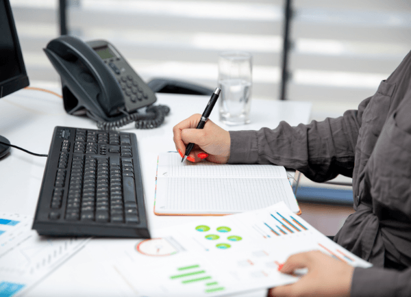 Additional IFRS Support Services
