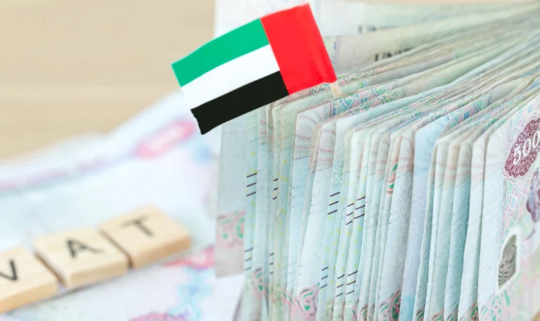 VAT Records in the UAE